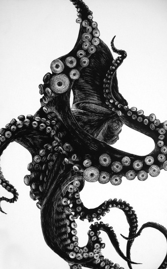 tumblr_m2f7b56wo31qlyc8co1_1280.jpg (638×1024) #illustration #squid #octopus