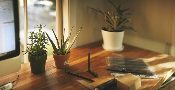 the home office #photography #office #desk #workstation