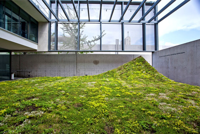 Green Varnish by Nomad Studio - #outdoor, #architecture, #landscaping, outdoor, architecture