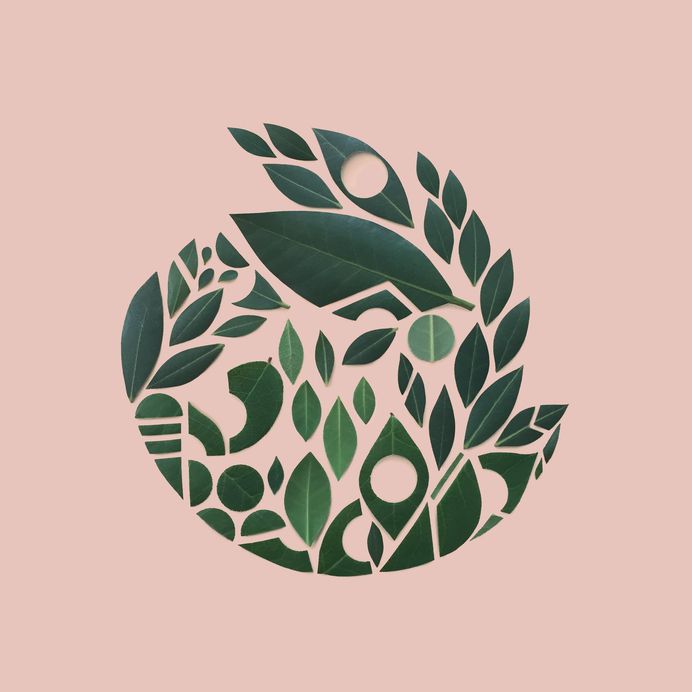 Prop Stylist Kristen Meyer Loves to Knoll with Nature | Trendland