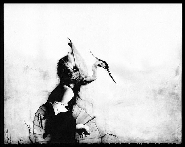 Preview: Sail's "Dead Language" at Roq La Rue | Hi Fructose Magazine #girl #bird