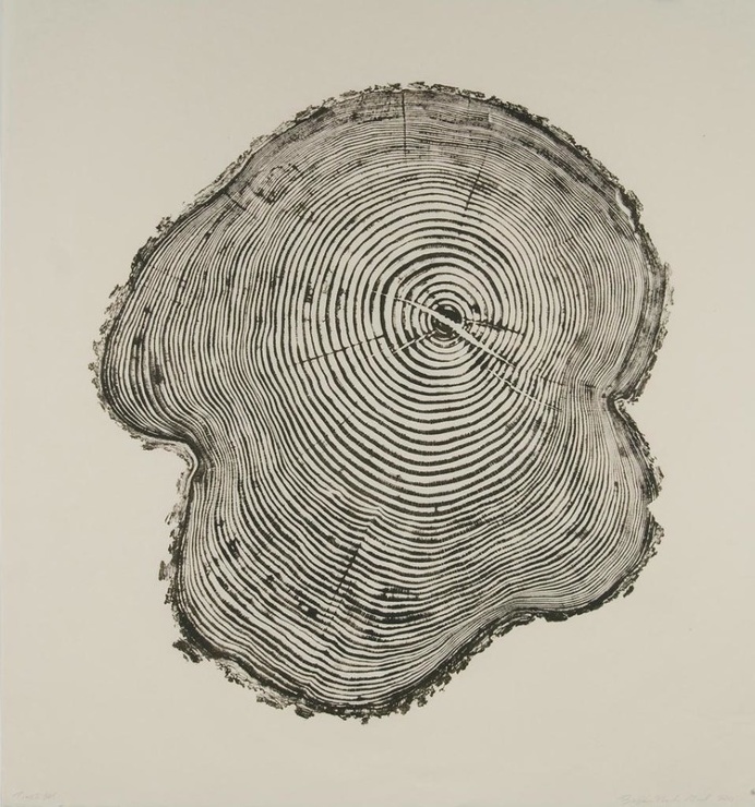 Pine II
