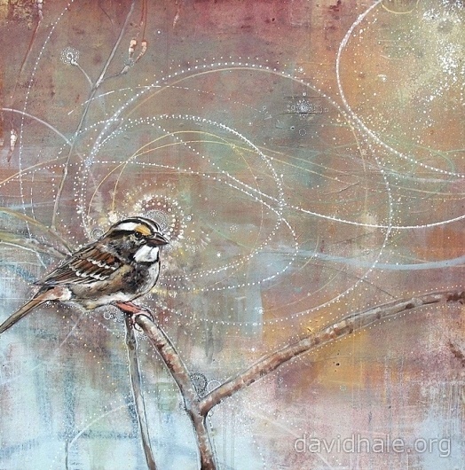 David Hale - songs, answers, and prayers #bird