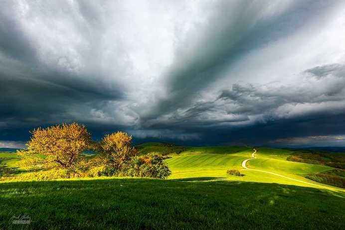 Nature Landscapes by Janek Sedlar #inspiration #photography #landscape