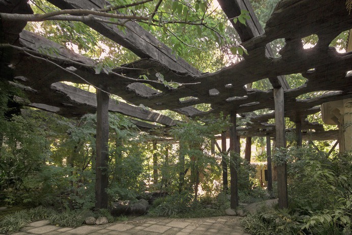 Kokage-gumo Pavilion / junya ishigami + associates - Exterior Photography, Forest, Garden