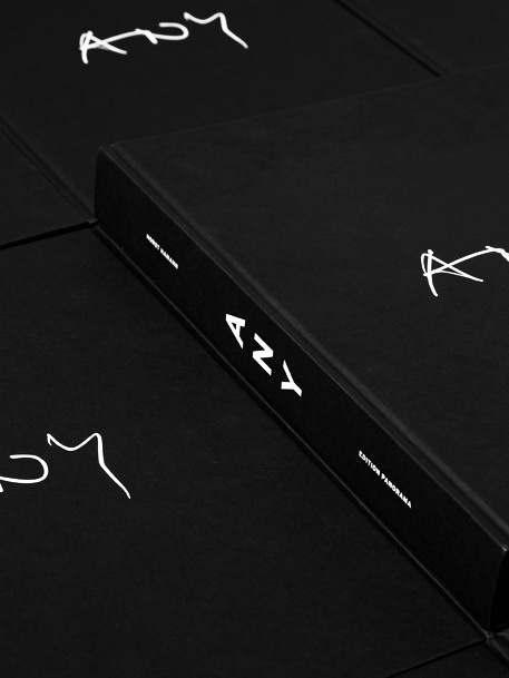 http://deutscheundjapaner.com/projects/any #book #print