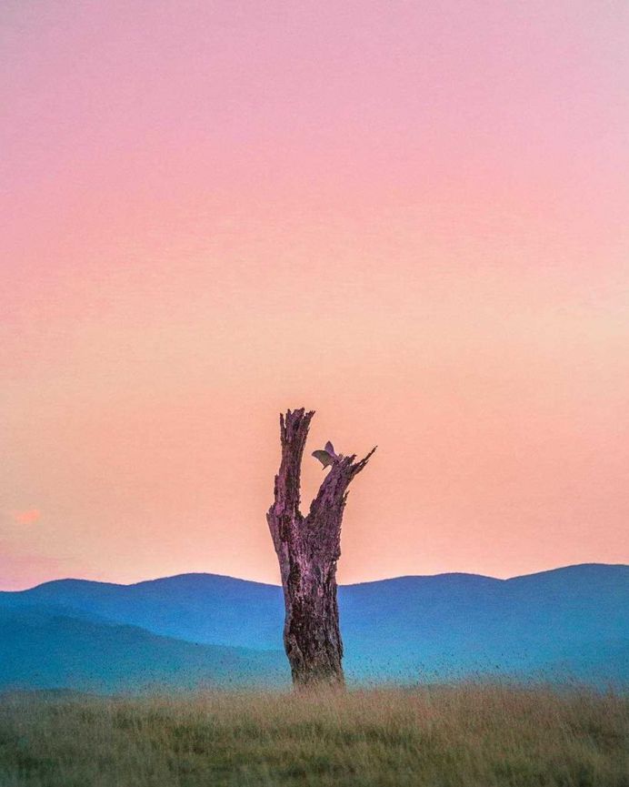 Simple and Stunning Minimalist Photography by Anton Kollo