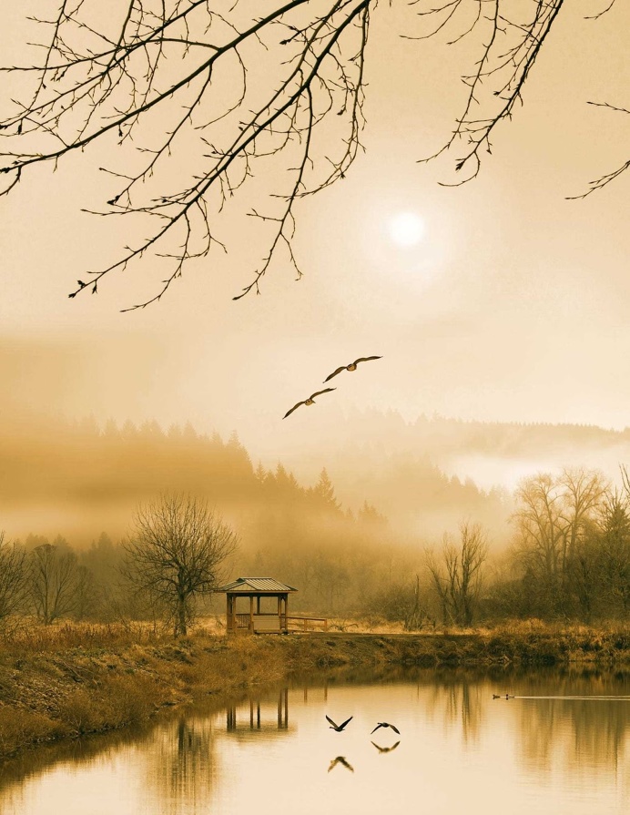 Beautiful Nature Landscapes by William Lee