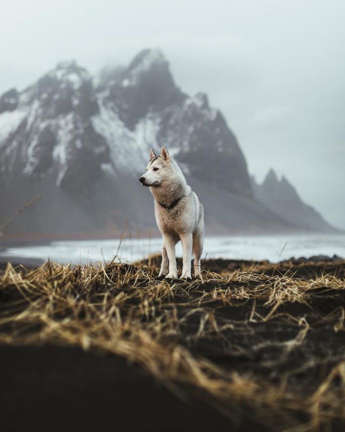 The Magnificent Landscape of Iceland by Niklas Söderlund