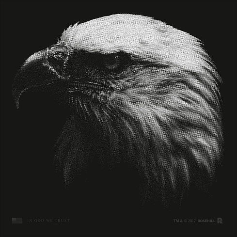 Illustration for t-shirt #tshirt #layout #illustration #eagle #america #patriotic #vintage