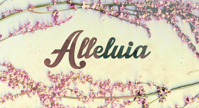 flowers, alleluia, easter, grunge, cherries