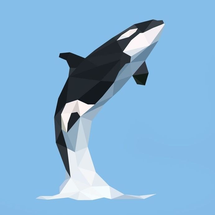 Low poly killer whale illustration #killer #whale #lowpoly #sea #nature