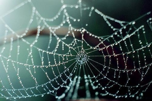 Photography by Kelly Bu | Professional Photography Blog #inspiration #photography #art