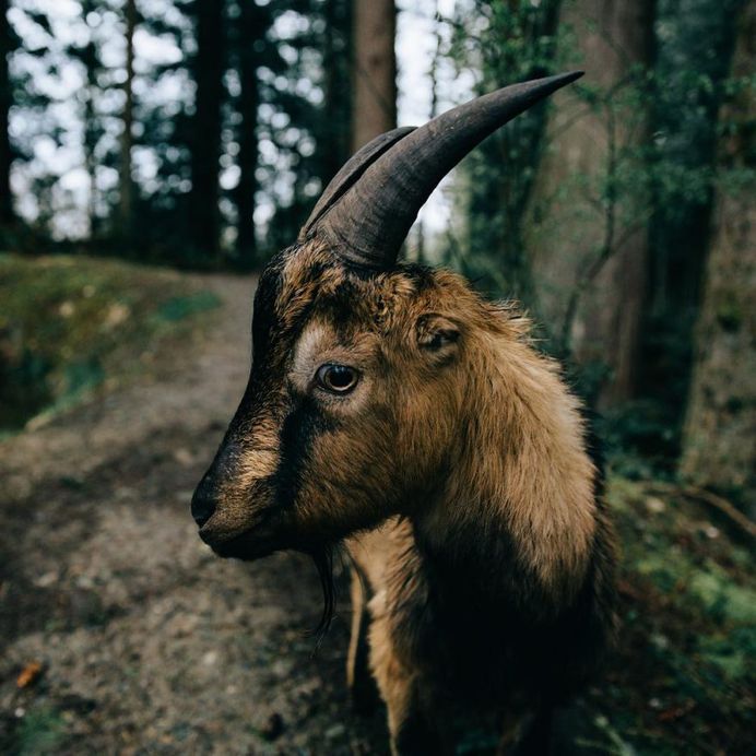 #neverstopexploring: Adventure Landscape Photography by Forrest Winants Smith