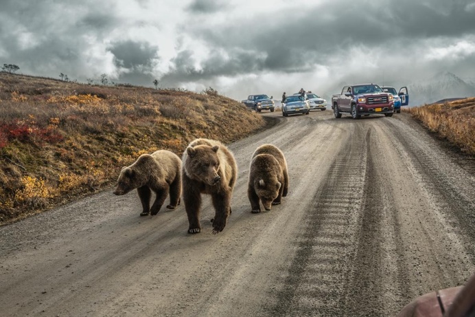 National Geographic Unveils Its 50 Most Beautiful Travel Photos Of 2016's