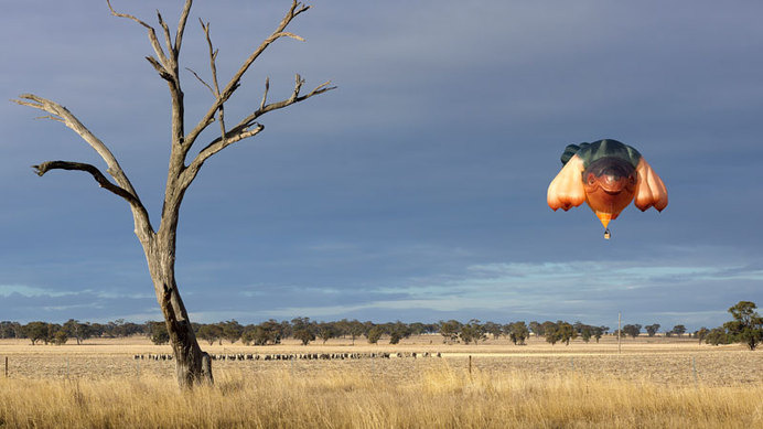 The Skywhale - Patricia Piccinini #australia