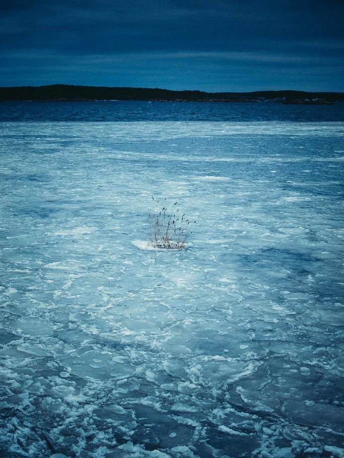 survive #limited #edition #print #sea #gã¶teborg #photography #survive #ice #winter
