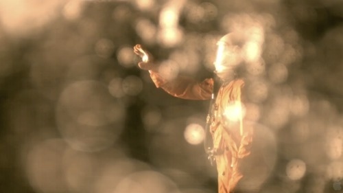 Tumblr #love #film