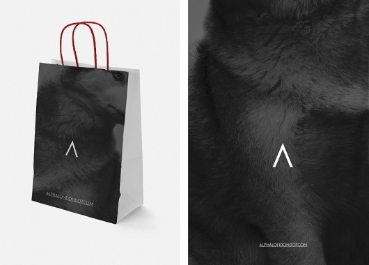 3.jpg (918×659) #identity #alpha #wolf