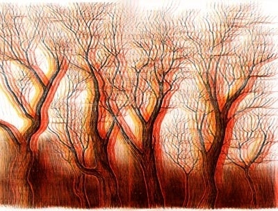N O N E W S I S G O O D N E W S #illustration #tree