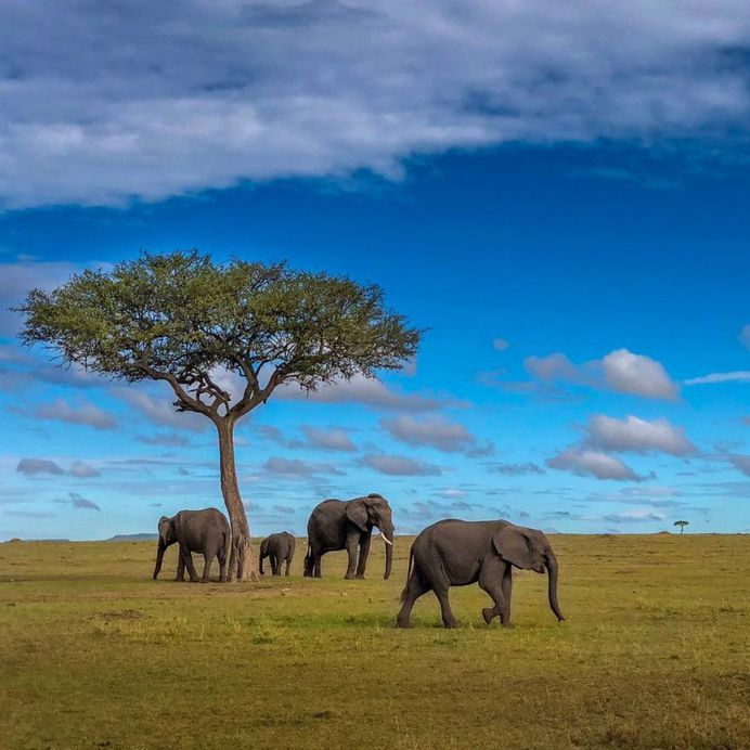 Wildlife Action Photography by Varun Aditya