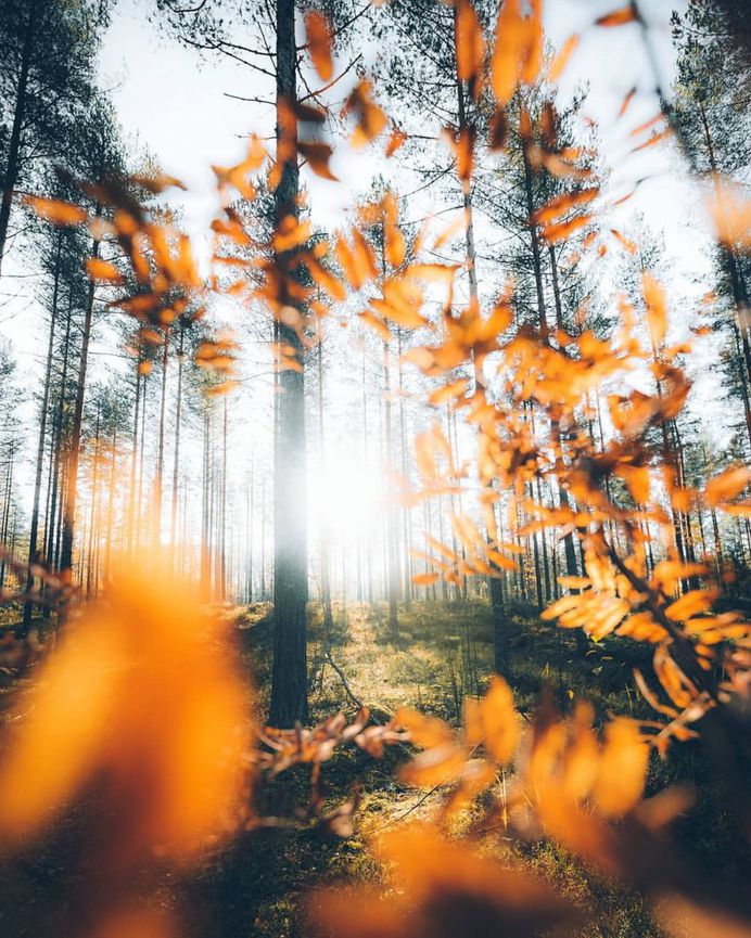 Magnificent Landscape Photography in Finland by Jukka Paakkinen