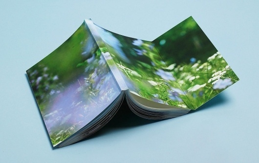 DesignStudio – Exclusive | September Industry #nokia #photography