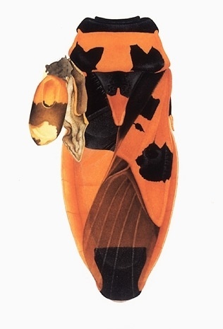 Cornelia Hesse-Honegger #cornelia #bug #insect #nuclear #honegger #hesse