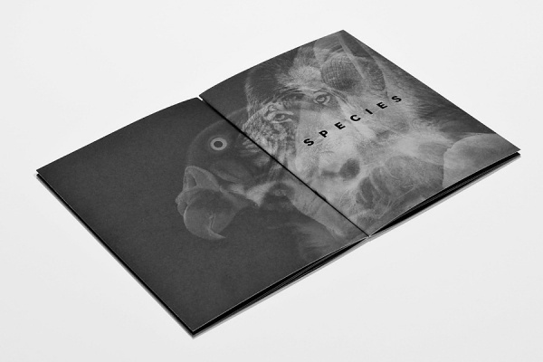 Graphic Porn #print