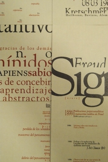 Diego Pinzon, Industrial Designer from Buenos Aires CF, Argentina #diego #pinzon #dictionary #layout #typo #typography