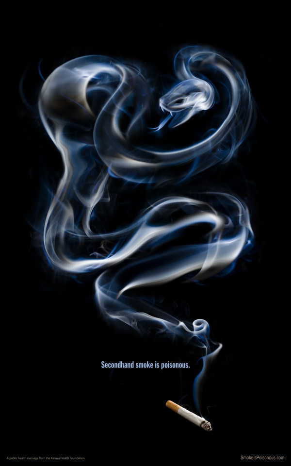 Smoke is Poisonous #cigarette #smoke #snake