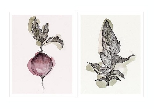 verónica ballart lilja #inspiration #illustration #ins #leaf