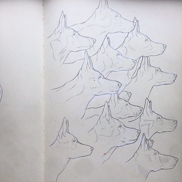 Pencil, Sketch, Illustration, Dog, Micheal Hanly