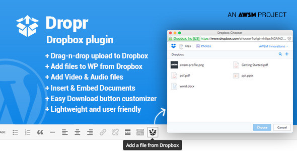 Dropbox WordPress Plugin