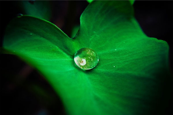 Drop of Water