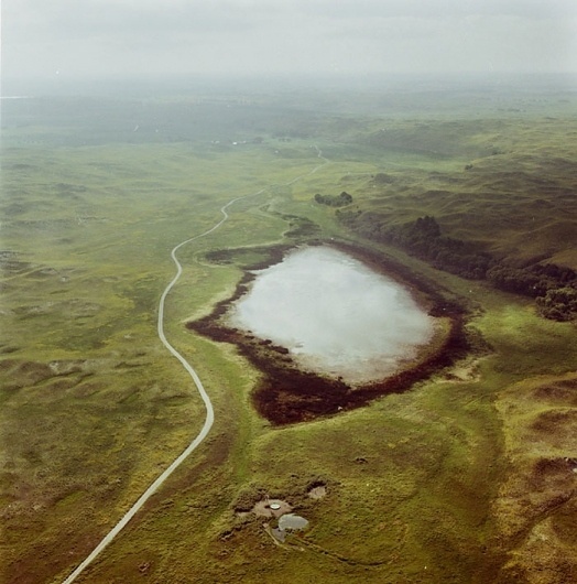 but does it float #road #flying #birds #eye #path #view #green