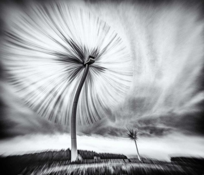 Architectural Photography Competition: The Art of Building 2016