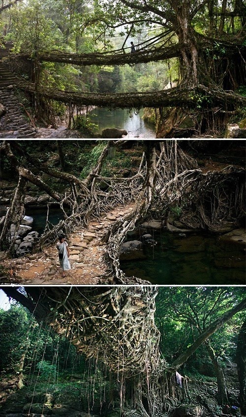 Nice Structure! #bridge