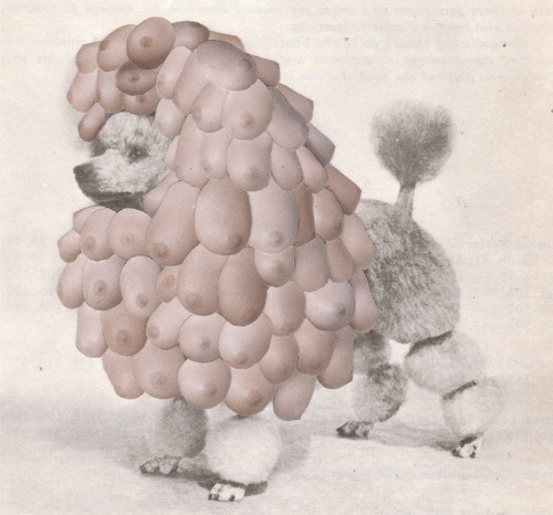 ShowPaper collage by Annalynn Hammond