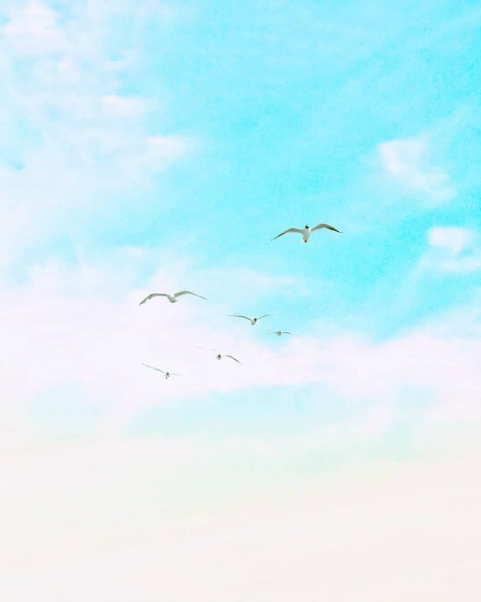 Creative and Colorful Minimalist Photography by Roynaldi Saputra