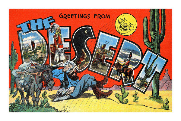 All sizes | The Desert postcard | Flickr Photo Sharing! #illustration #vintage #desert #postcard #southwest