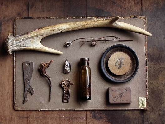 trophy wife | Flickr - Photo Sharing! #antler #objects