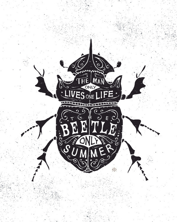 Selected illustrations on Behance #quote #type #illustration #beetle