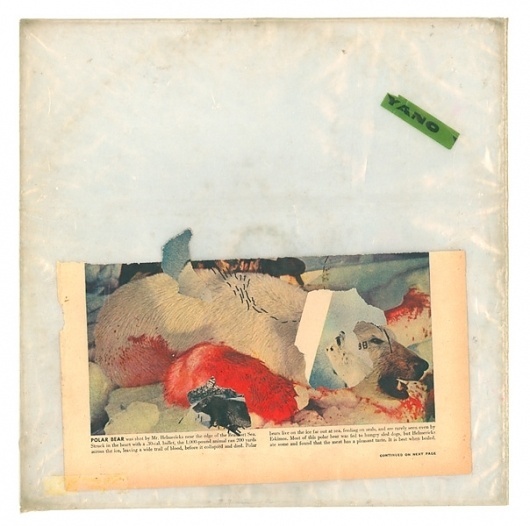 PolarBear.jpg (604×600) #album #nature #art #music #collage #paper