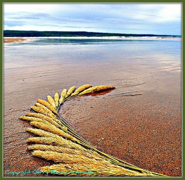 Land and sand art #land #landscape #photography #art #eco #tone #beach