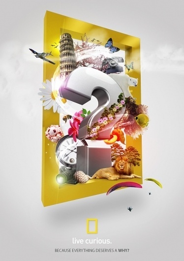 National Geographic - Everything Deserves a why on the Behance Network #live #modern #taha #photo #print #curious #manipulation #poster #ngc