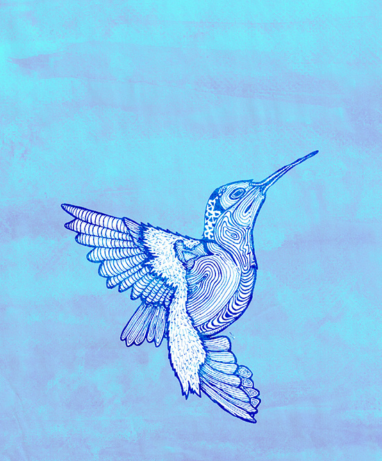 "Colibrí" by Molly Yllom #illustration #character #design