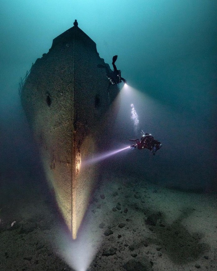 Spectacular Underwater Photography by Alex Dawson