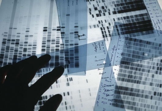 DNA_testing.jpg (1200×821) #white #black #dna #and #keyvisual