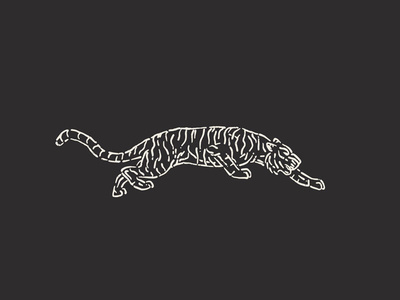 They called me Tiger Claw back in high school... #tiger #illustration #orange #classic #nature #animal